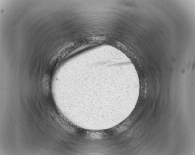 X0000085210710200704091906