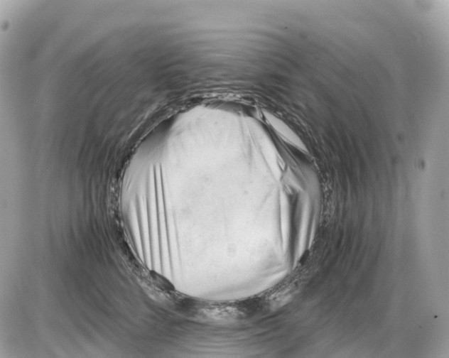 X0000085210712200704091906