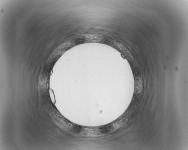 X0000085210713200704091906