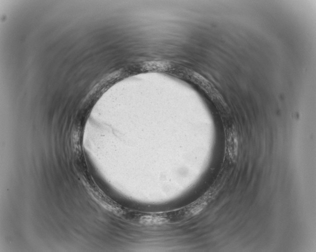 X0000085210714200704091906