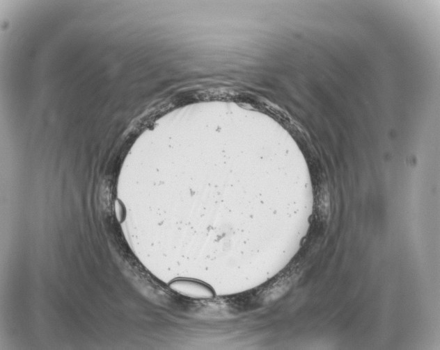 X0000085210715200704091906