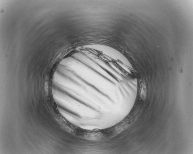 X0000085210716200704091906