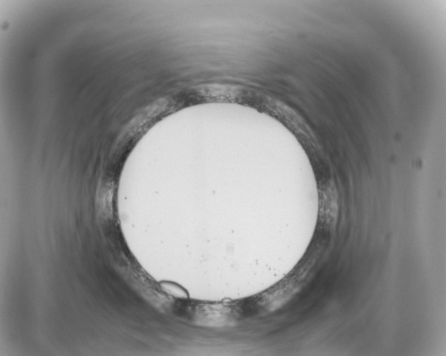 X0000085210717200704091906