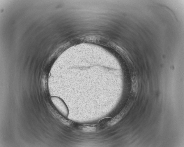 X0000085210718200704091906