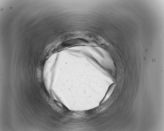 X0000085210720200704091906