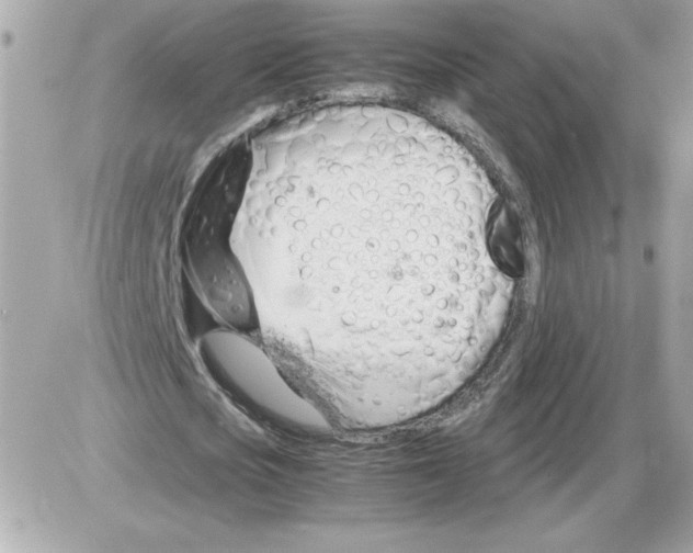 X0000085210721200704091905