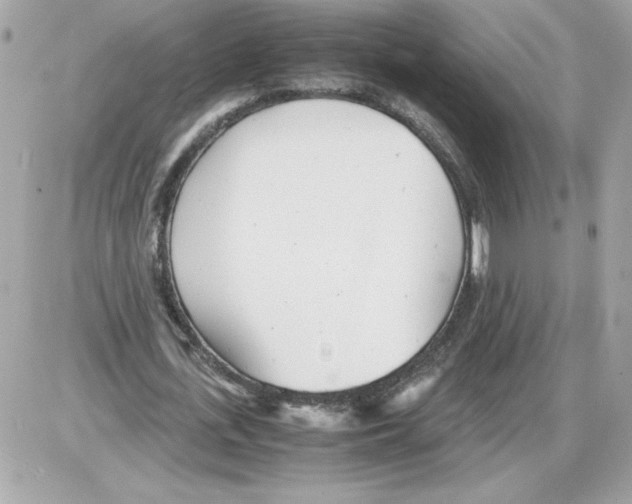 X0000085210723200704091905