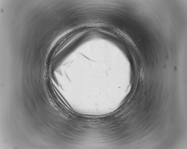 X0000085210724200704091905