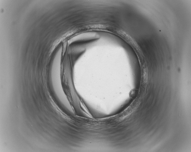 X0000085210725200704091905