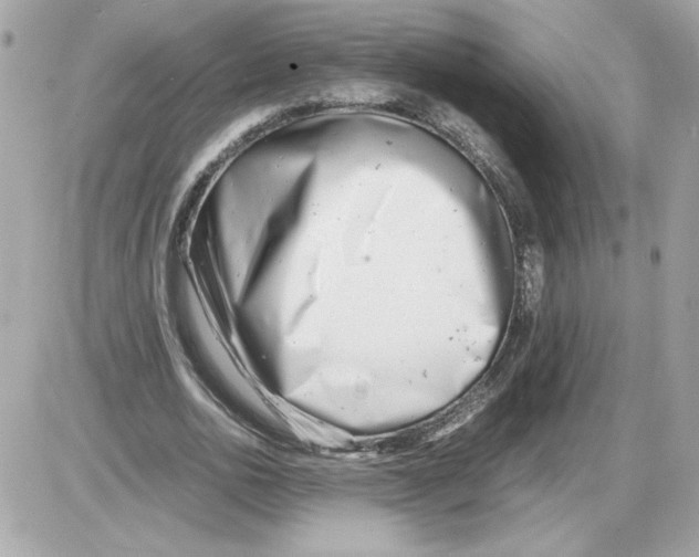 X0000085210726200704091905