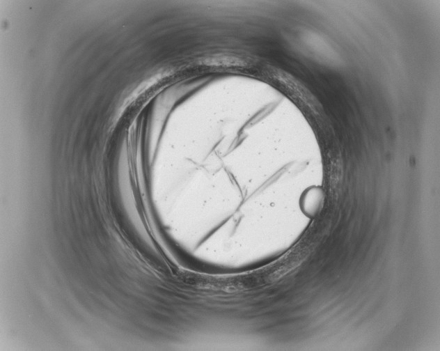 X0000085210727200704091905