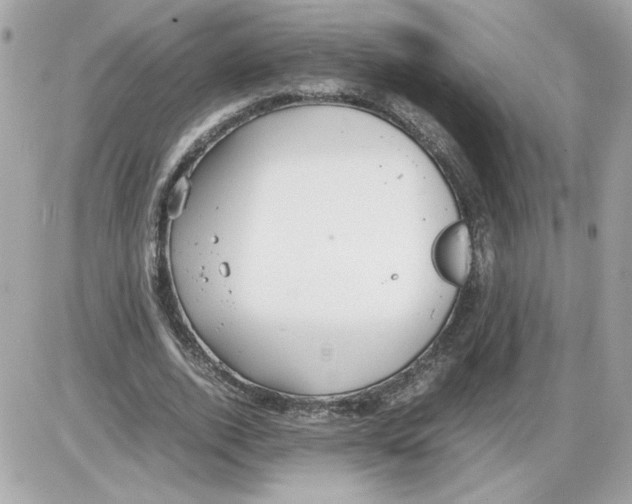 X0000085210728200704091905