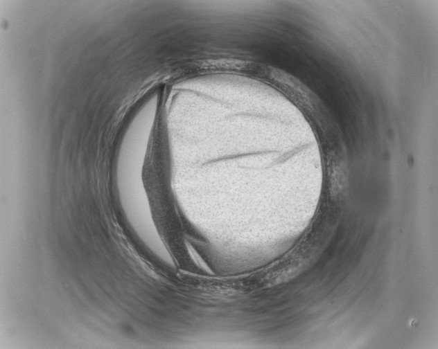 X0000085210729200704091905