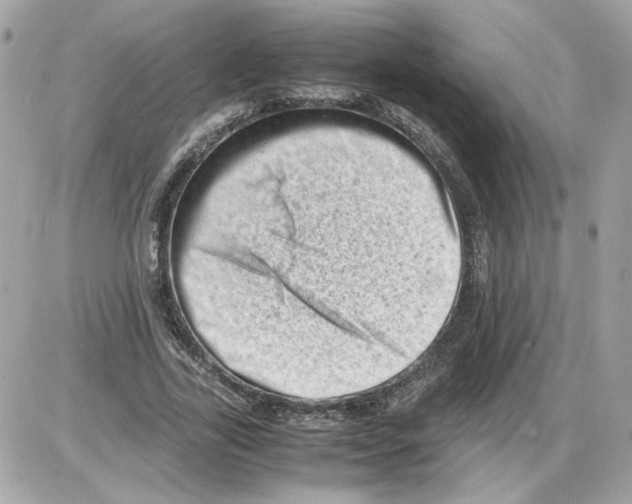 X0000085210731200704091905