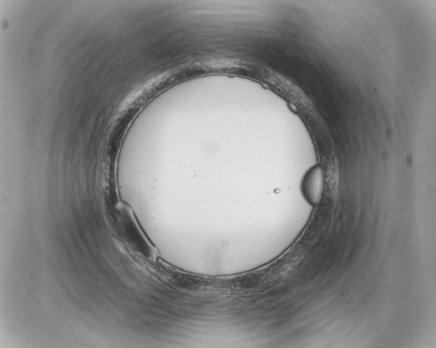 X0000085210732200704091905