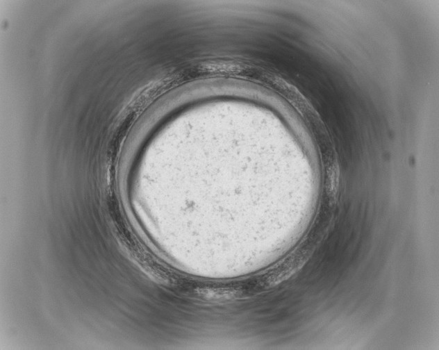 X0000085210733200704091906