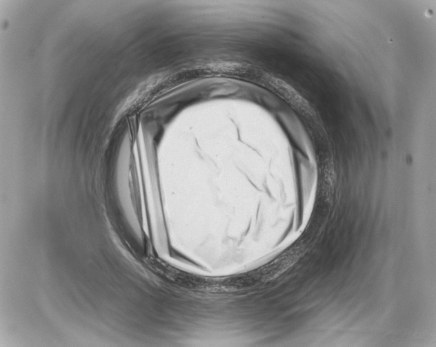 X0000085210734200704091906