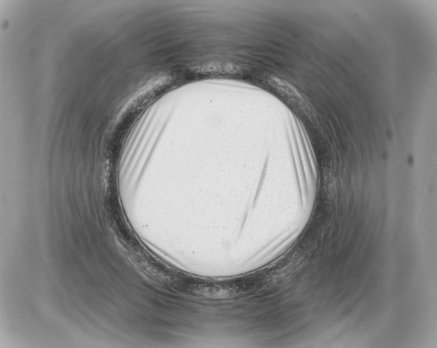 X0000085210735200704091906