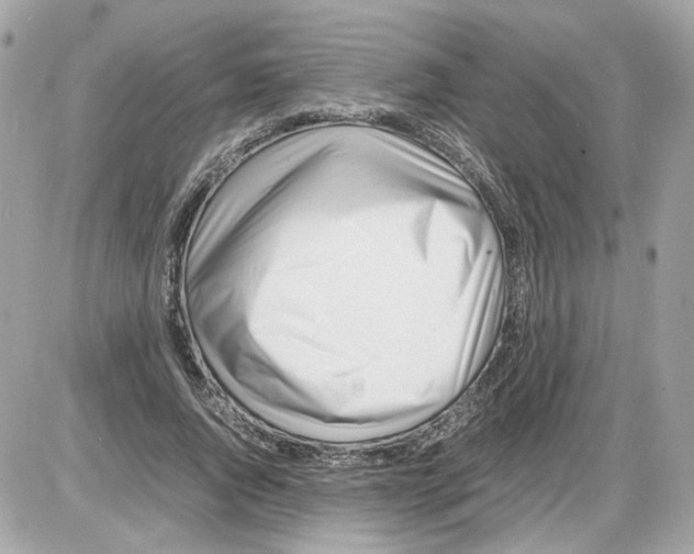 X0000085210736200704091906