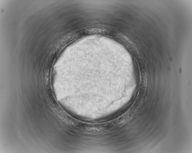 X0000085210737200704091906