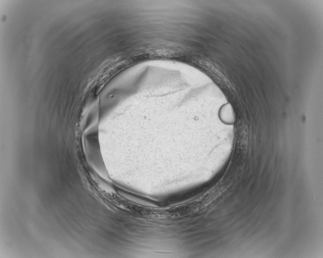 X0000085210738200704091906