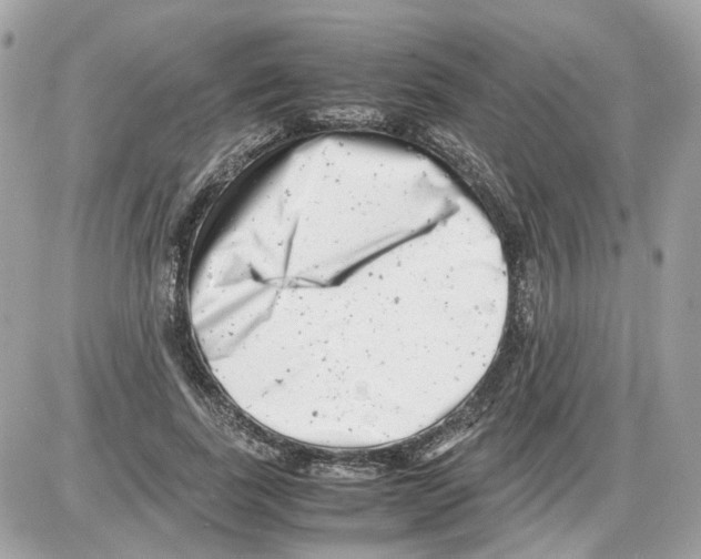 X0000085210739200704091906