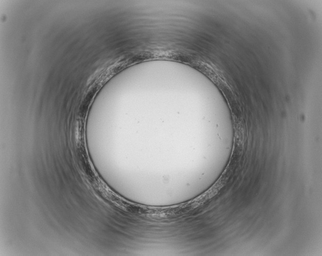 X0000085210740200704091906