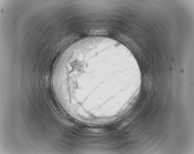 X0000085210741200704091906