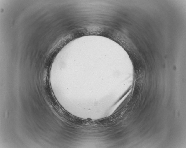 X0000085210742200704091906