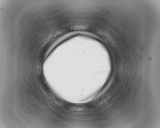 X0000085210743200704091906