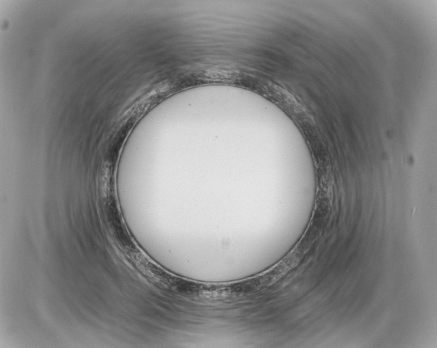 X0000085210744200704091906