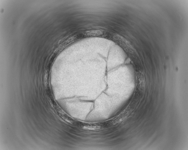 X0000085210745200704091906