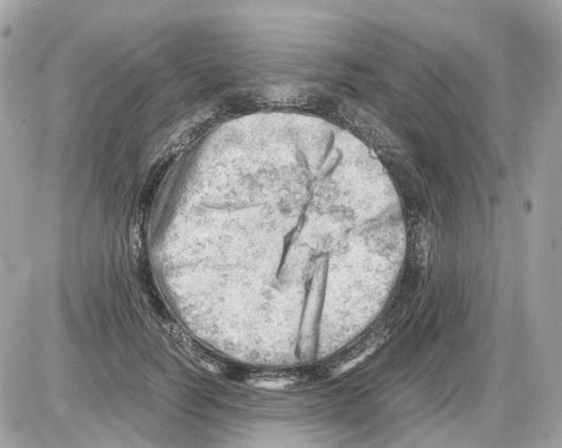 X0000085210746200704091906