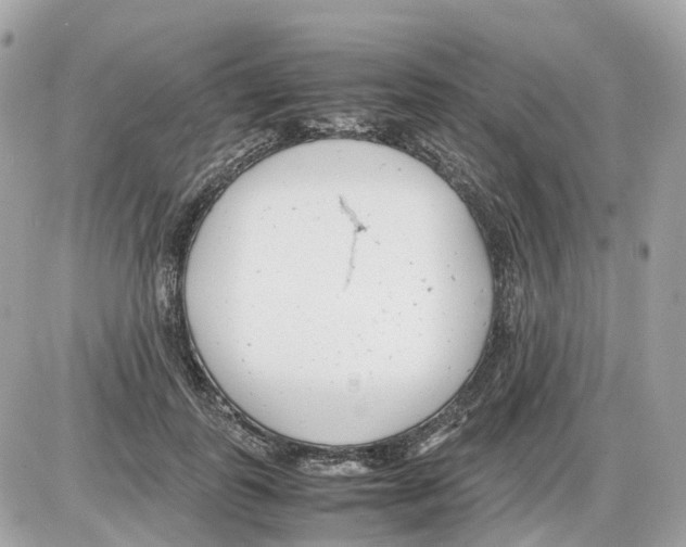 X0000085210747200704091906