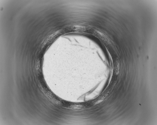 X0000085210748200704091906