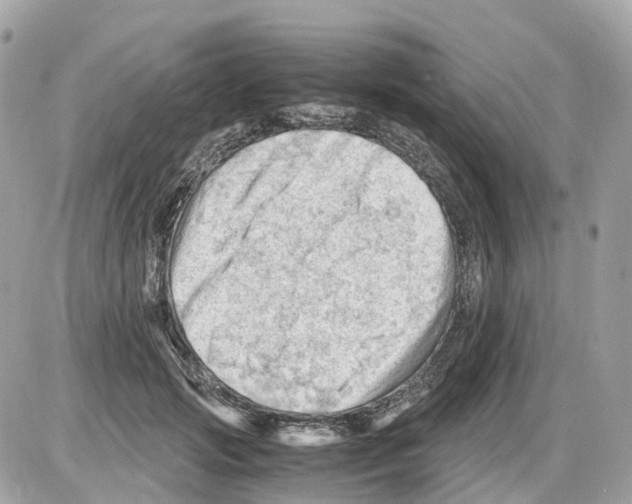 X0000085210749200704091906