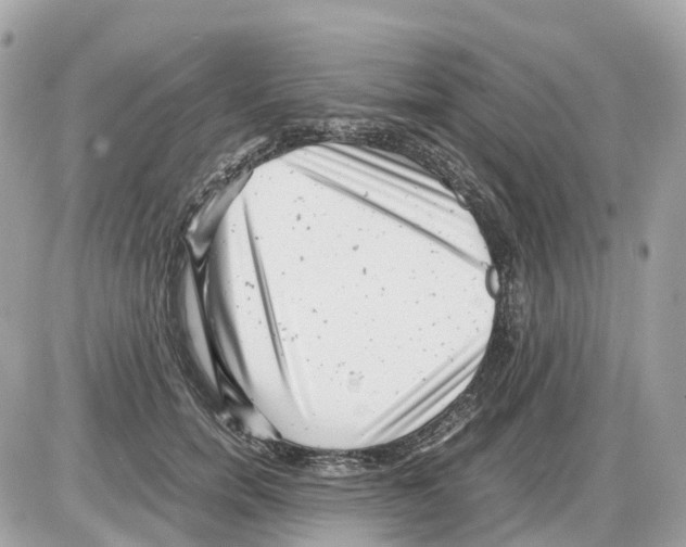 X0000085210750200704091906