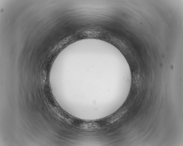 X0000085210752200704091906