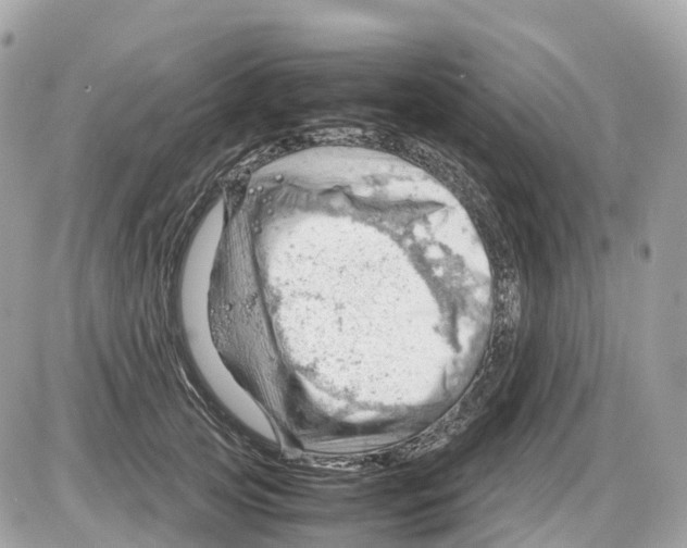 X0000085210753200704091906