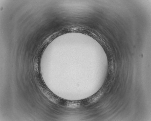 X0000085210754200704091906