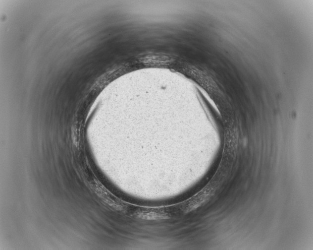 X0000085210755200704091906