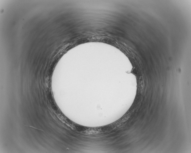 X0000085210756200704091906