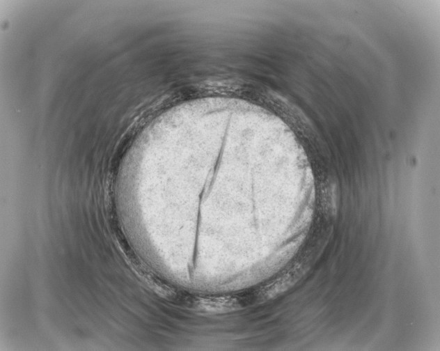 X0000085210757200704091906