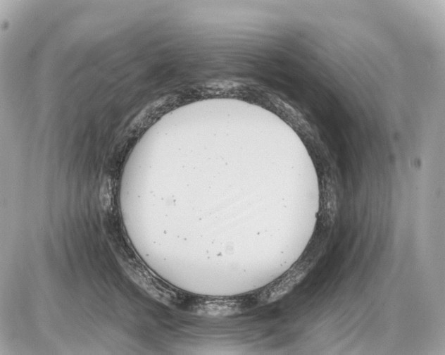 X0000085210758200704091906