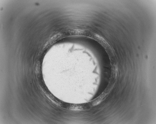 X0000085210760200704091906