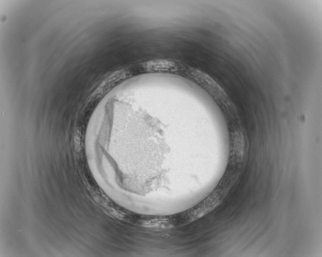 X0000085210761200704091906