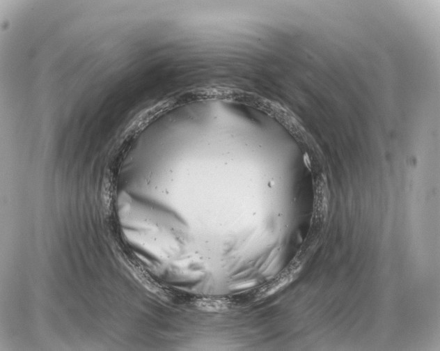 X0000085210762200704091906