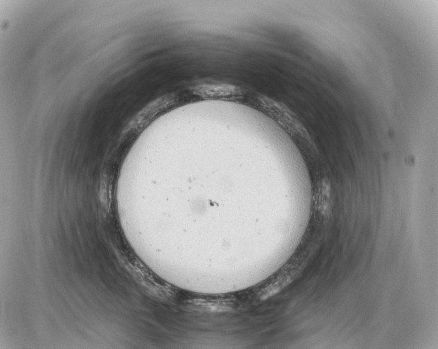 X0000085210763200704091906