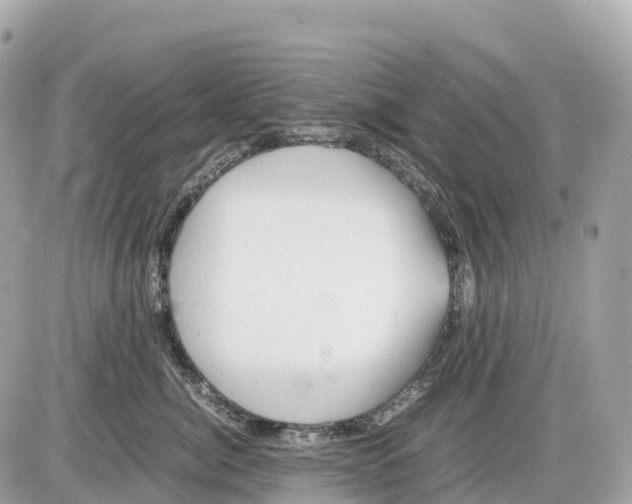 X0000085210764200704091906