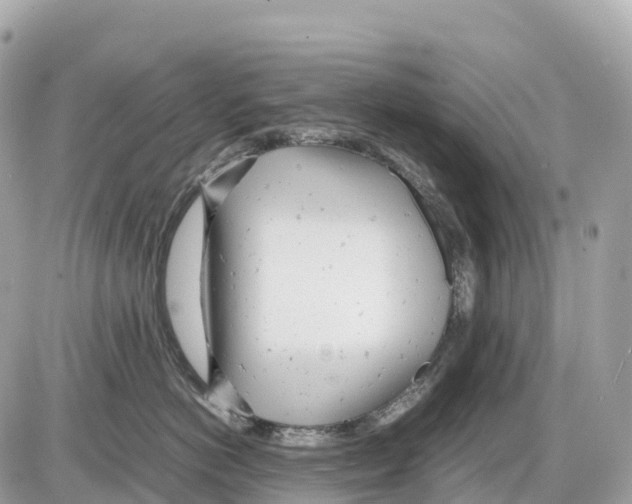 X0000085210766200704091906